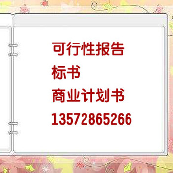 岳阳代写公司报告岳阳可行性研究报告精编