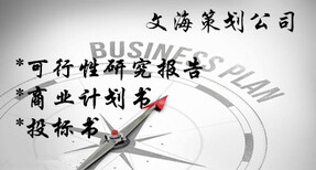 萍乡代写商业计划书-whqy图片0