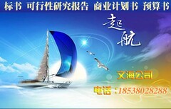 吉林辽源代写标书√1日内出稿图片5