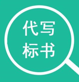 三亚代写可行性报告服务市县乡