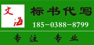 项目建议书怀化本地代写便宜实惠图片1