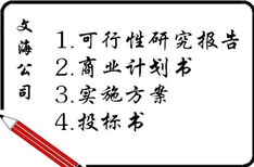 宁德做可行性报告各类实施方案图片5