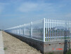 PVC护栏塑钢护栏_锌钢围墙护栏铁艺围墙护栏