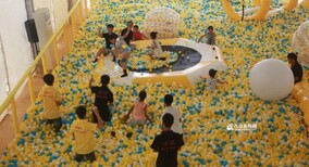 武汉百万海洋球出租图片5