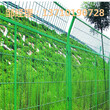 儋州工厂镀锌护栏网定安鱼塘隔离网订做三亚金属围栏网热销图片