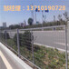 惠州果园铁丝隔离网揭阳机场围栏网批发广东鱼塘护栏网厂家