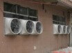 太仓壁挂式风机厂家，侧墙通风降温设备