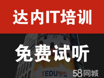 芜湖达内网络营销培训，推荐就业学会为止图片0