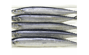 大連冷凍魷魚進口海關商檢檢測辦理圖片