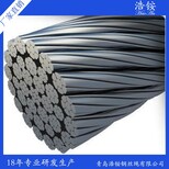厂家供应镀锌、包塑、PVC钢丝绳专做出口钢丝绳质量图片0