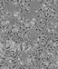 RL95-2贴壁复苏细胞株哪提供