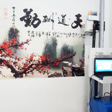 深圳企业机关风采墙新农村建设壁画机立式3d彩绘机高清墙画机