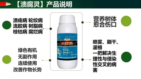 浙江芒果病用什么藥效果好