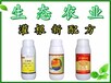 广东漭果细菌角斑病专用的好农药