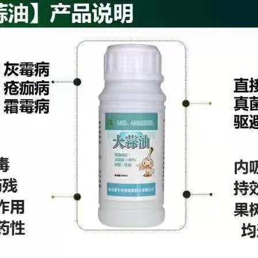 天南星細菌性軟腐病治療方法教您一招