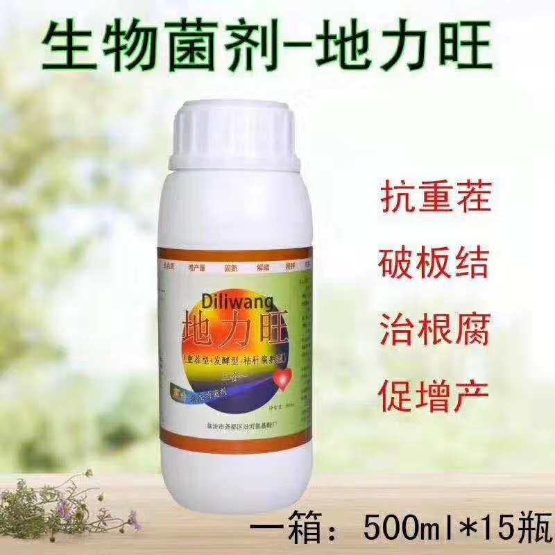 红查理草莓得了根腐用什么药效果好