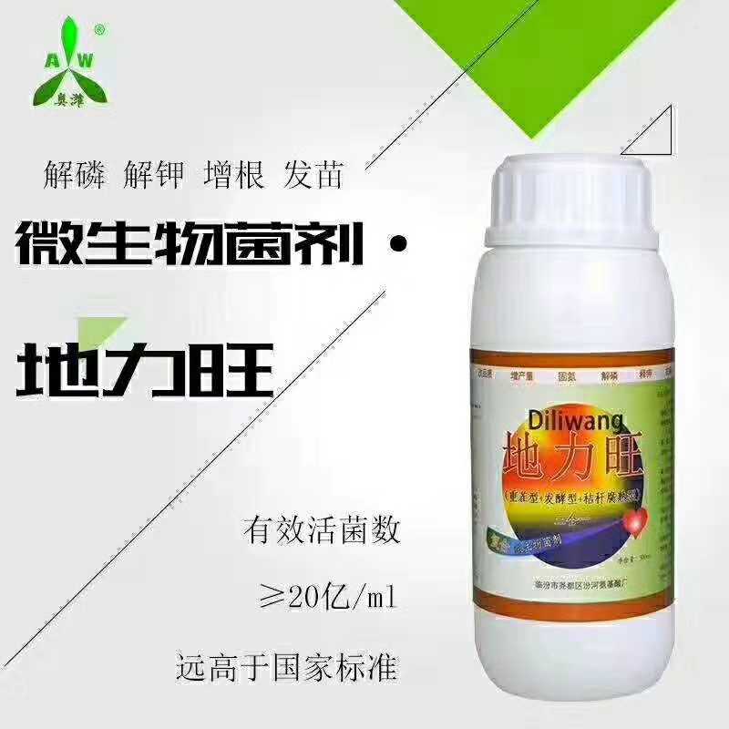 河南猕猴桃树干流红水用什么药水