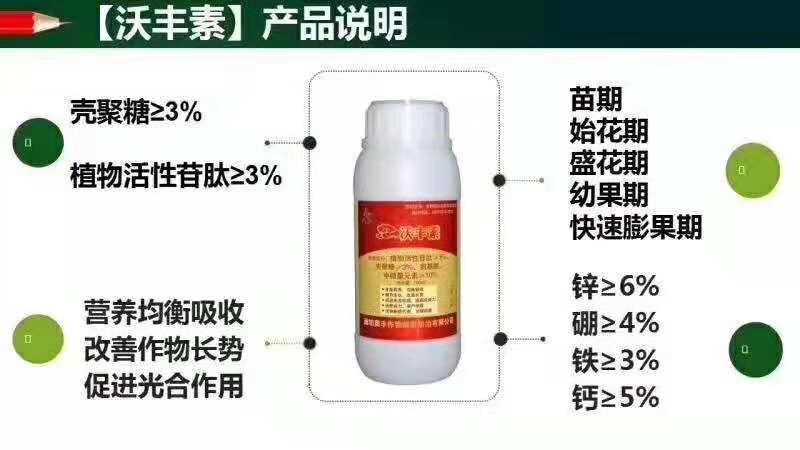 名貴藥材重樓、三七爛根發(fā)病原因怎么治