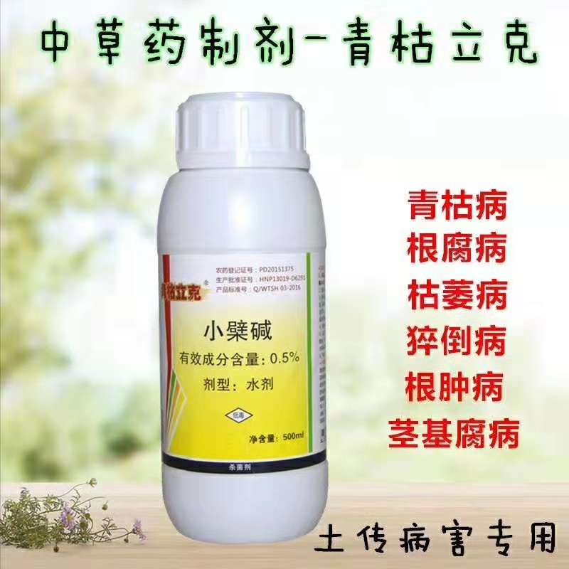 广西种植草莓根腐用什么药