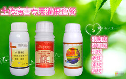 贵州褐腐病疗效药图片2