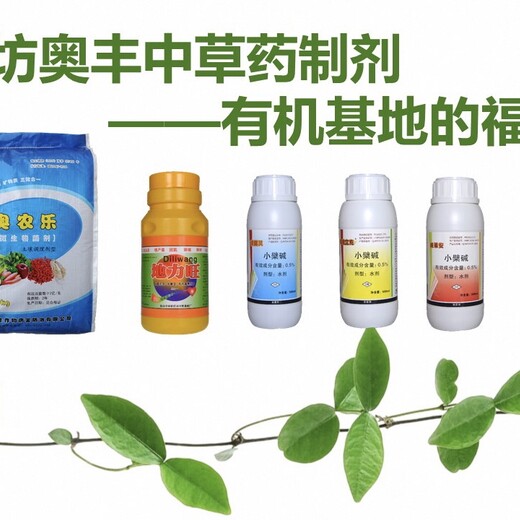 奶莓白粉病推荐奥丰用药方案