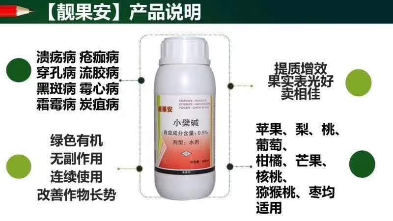 蓝莓炭疽病技术指导用药方案