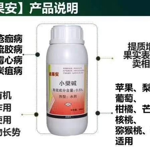 蓝莓灰霉病技术指导用药方案