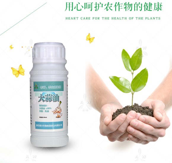 湖南脐橙发病症状和治疗用药