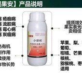 种植有机草莓红中柱根腐病用什么药能控制住