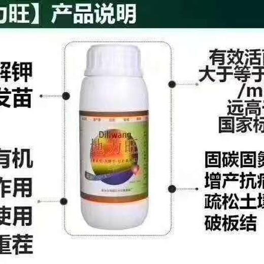 金艷獼猴桃潰瘍病用潰腐靈干