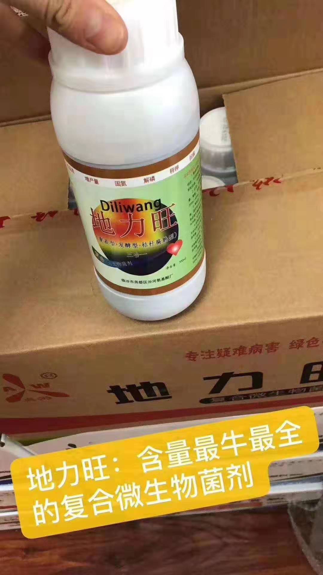 广东茂谷柑树脂病在用药方面有什么注意