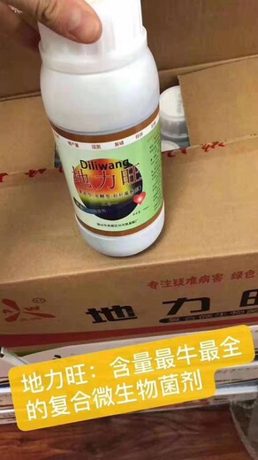 大棚黃瓜葉霉病不用化學(xué)藥可以治好嗎