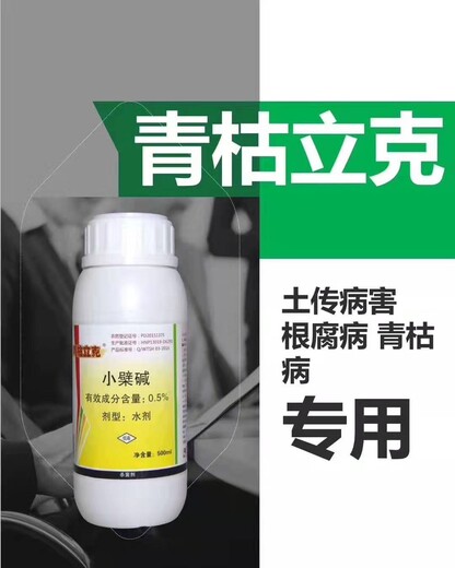 广东茂谷柑树脂病在用药方面有什么注意