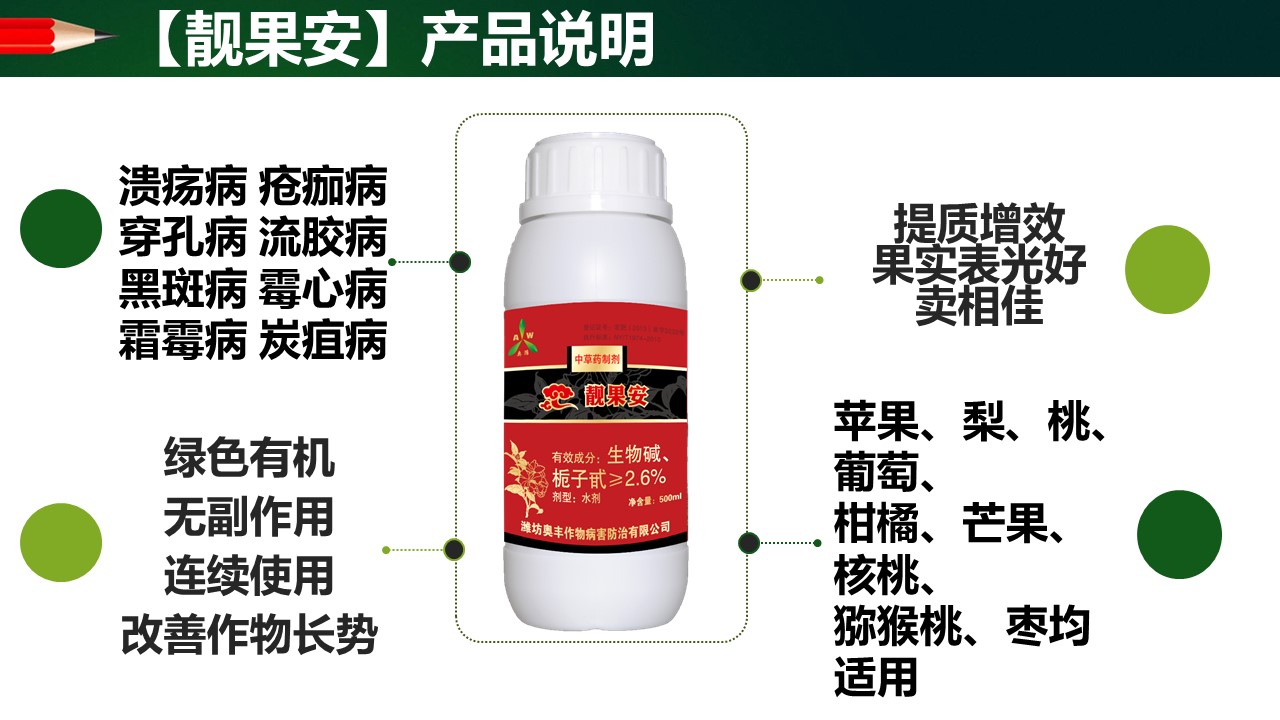 美味獼猴桃褐斑病怎么治