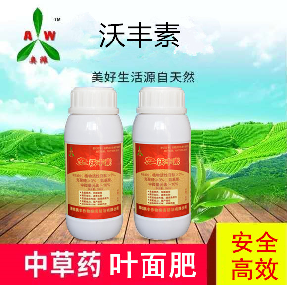 山东高丽参茎基腐病使用青枯立克效果怎么样