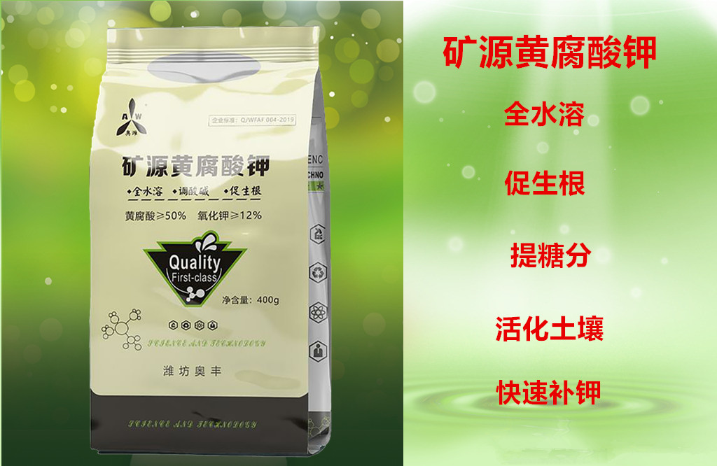 红查理草莓得了根腐用中药制剂青枯立克效果分享