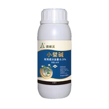 溃腐灵青枯立克救治猕猴桃茎基腐烂导致死颗淋一遍伤口愈合长出新皮图片