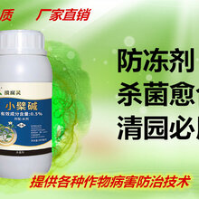 猕猴桃冬天防冻用的防冻剂什么样的效果好?图片