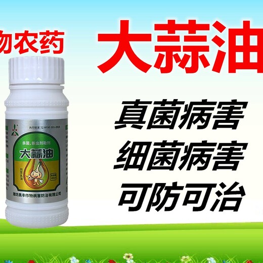 大蒜油在云貴地區(qū)蔬菜病害的用藥效果