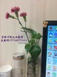 太仓插花培训哪家好？太仓附近哪里可以学插花