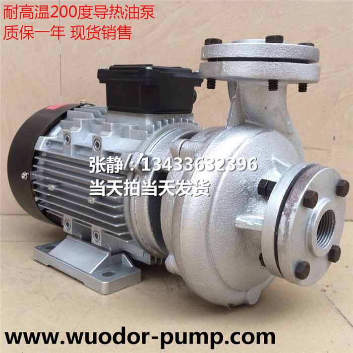 TS-100泵耐高温200度热油泵高温循环泵模温机高温马达