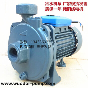 冷水机循环泵CM-50220V单相220V单级单相离心泵冷水机泵