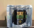 青倫500ml12菠蘿果啤易拉罐啤酒招商高性價涼山彝族自治州