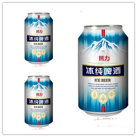 诚招代理小麦王易拉罐啤酒500ml9听迪庆藏族自治州