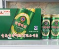 熊力果味菠蘿啤酒500毫升9聽漯河市