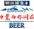 熊力玻璃瓶啤酒,供应广安市