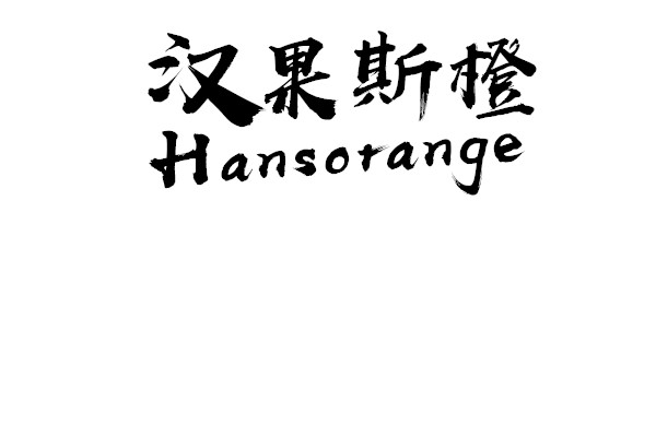 招商小麥金啤啤酒500ml*9罐南平市