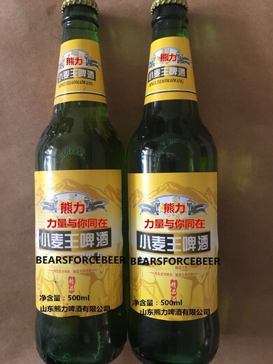 供应小麦王易拉罐啤酒320毫升24罐洛阳市