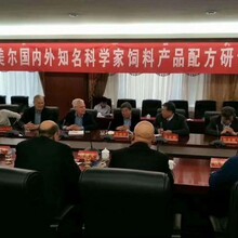 育肥驴的饲料配方/怎样养驴都要喂什么香河县图片