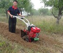 农用小型手扶开沟培土机新型电启动田园管理机湖南西瓜种植开沟机图片